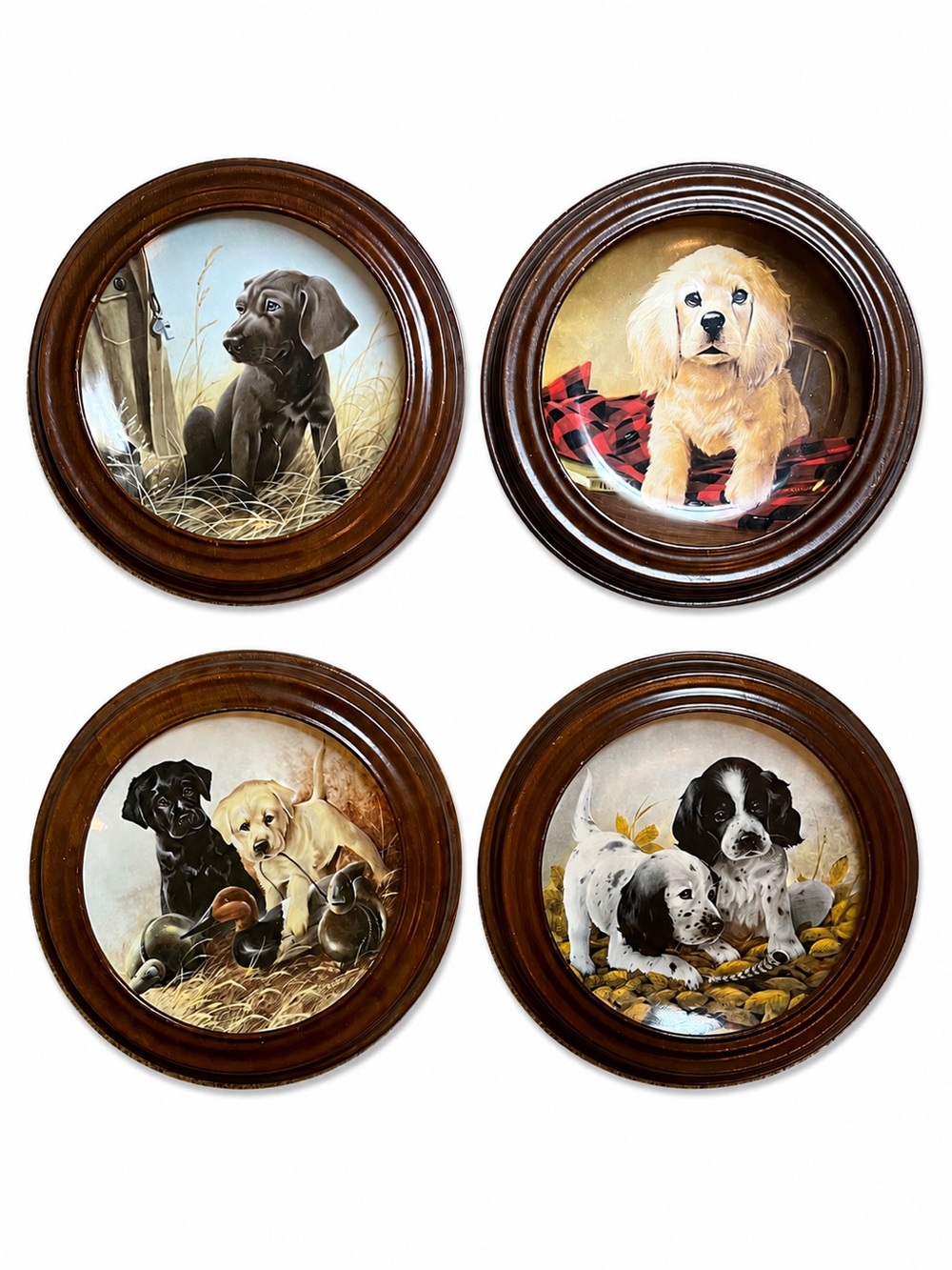 Knowles Round Puppy Plaques with Brown Frames